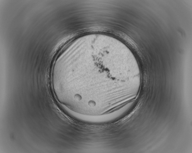 X0000114430930200911131328