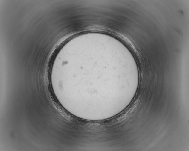 X0000114430931200911131328