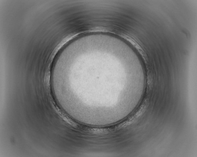 X0000114430933200911131328