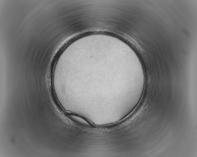 X0000114430934200911131328