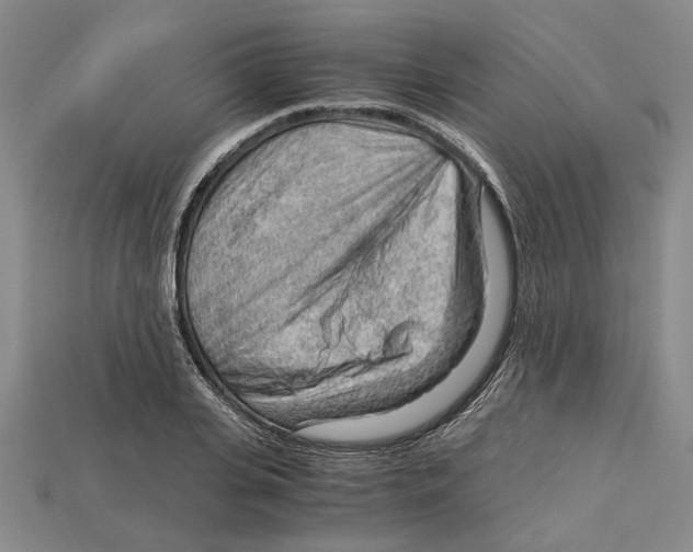 X0000114430935200911131328