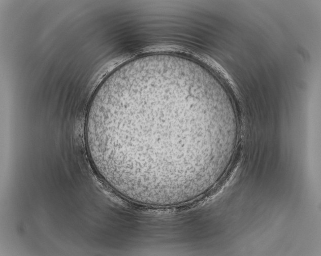 X0000114430937200911131328