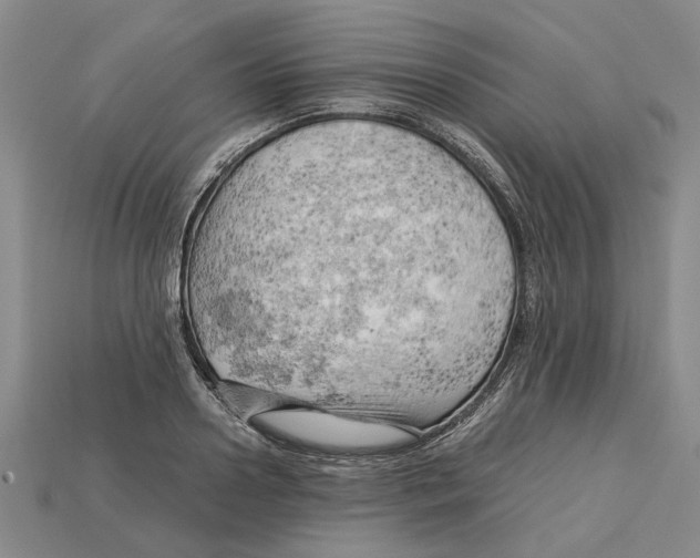 X0000114430938200911131328