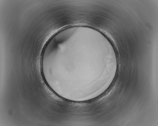 X0000114430941200911131328