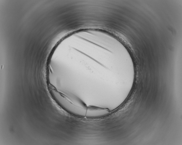 X0000114430942200911131328