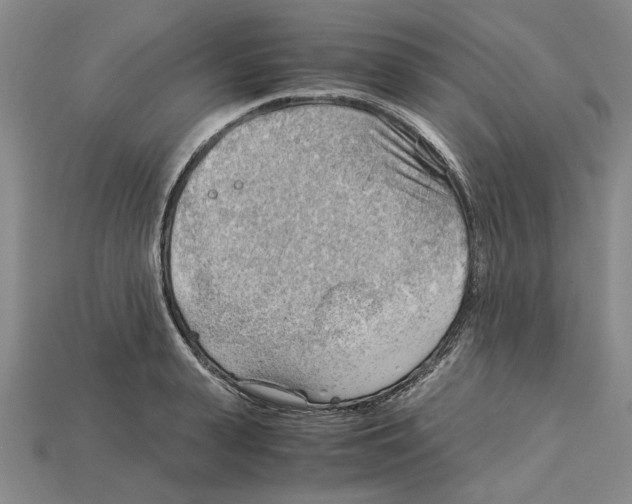 X0000114430943200911131329