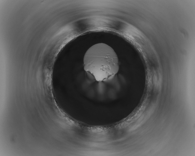 X0000114430945200911131329