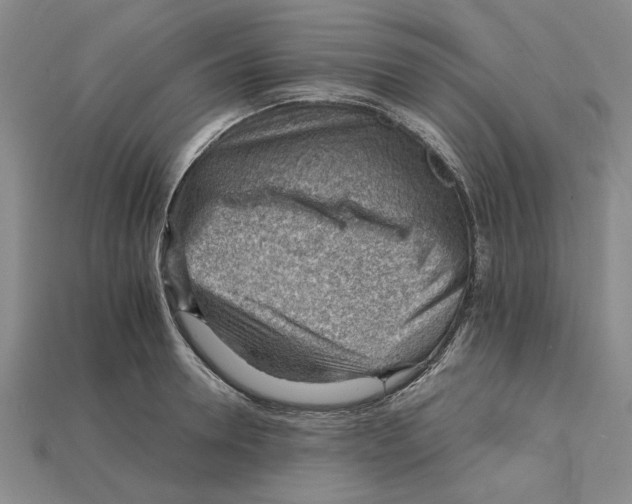 X0000114430946200911131329