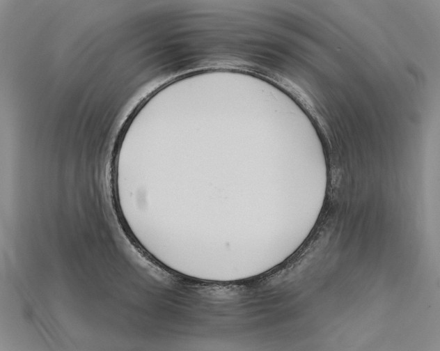 X0000114430947200911131329