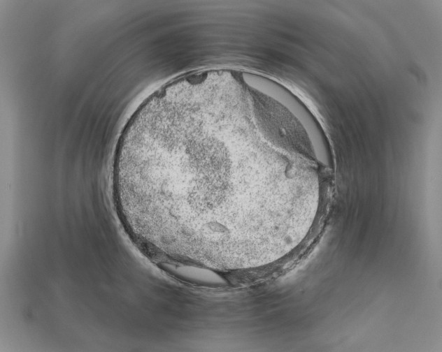 X0000114430949200911131329