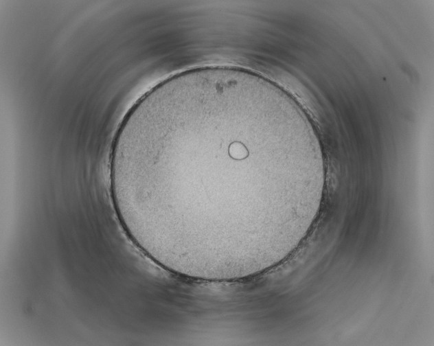 X0000114430950200911131329