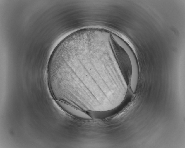 X0000114430951200911131329