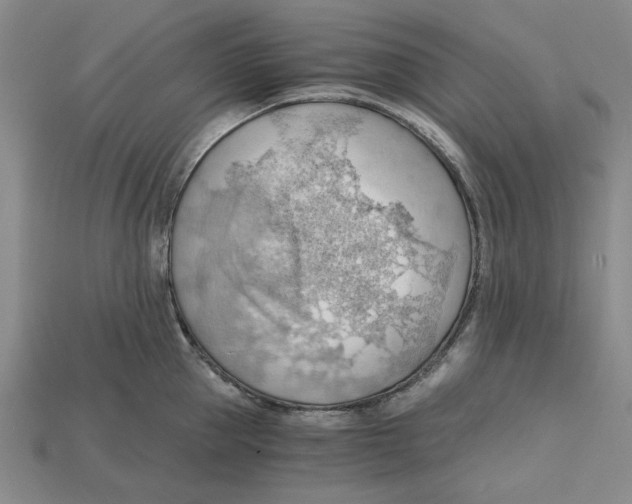 X0000114430953200911131329