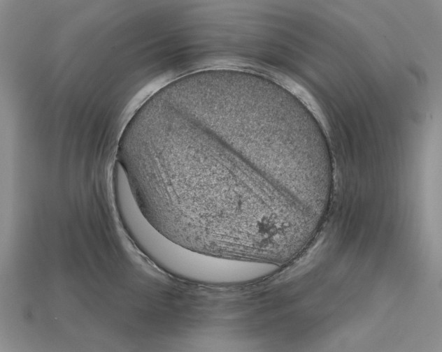 X0000114430954200911131329