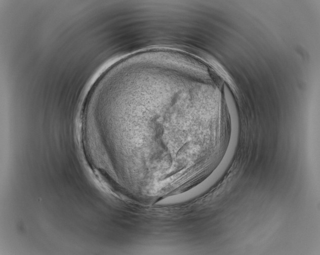 X0000114430955200911131329