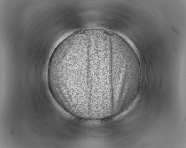 X0000114430957200911131329