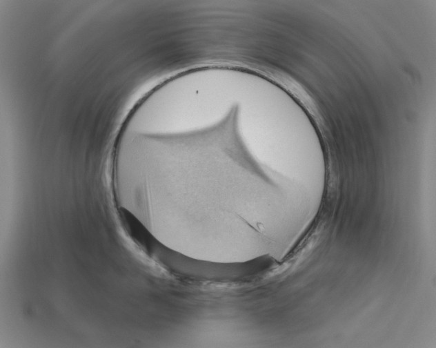 X0000114430958200911131329