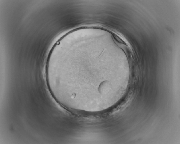 X0000114430959200911131329