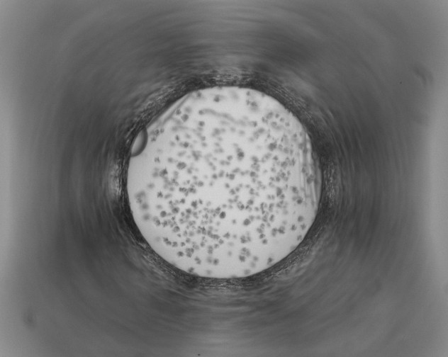 X0000114430962200911131328