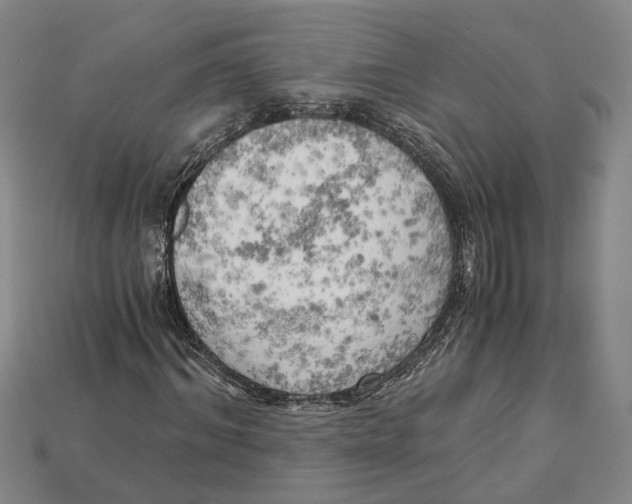 X0000114430964200911131328