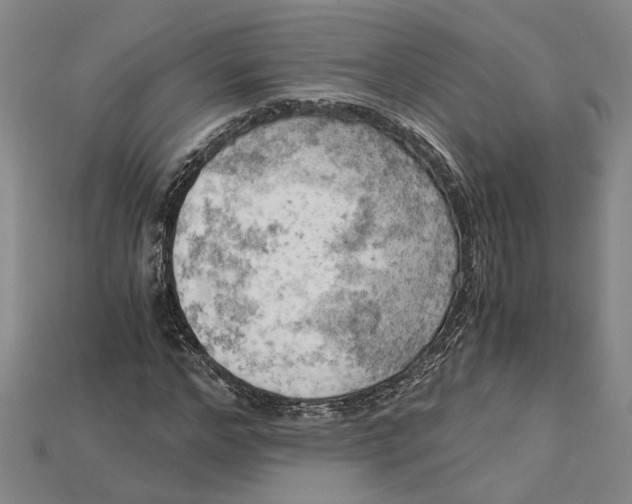 X0000114430968200911131328