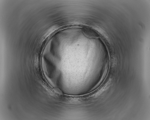 X0000114430969200911131328