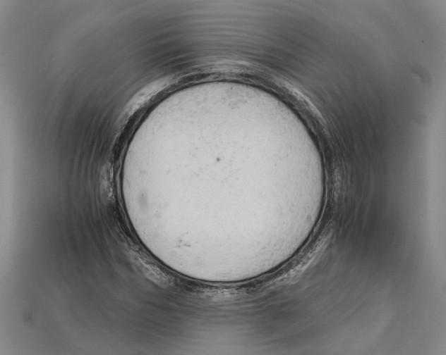 X0000114430970200911131328