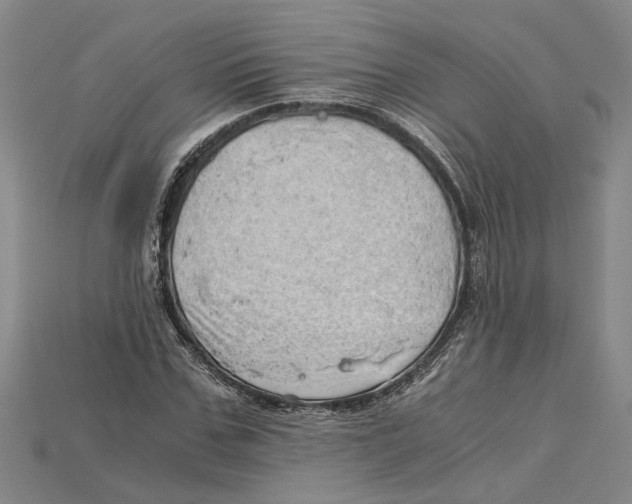 X0000114430971200911131328