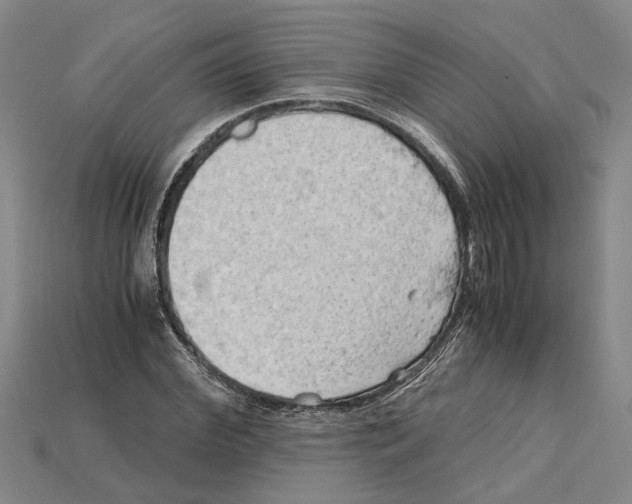 X0000114430972200911131328