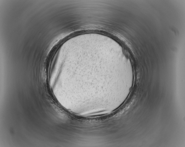 X0000114430973200911131328