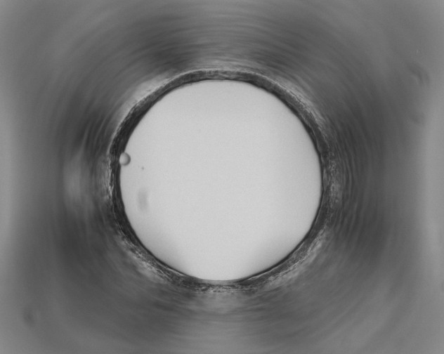 X0000114430974200911131328