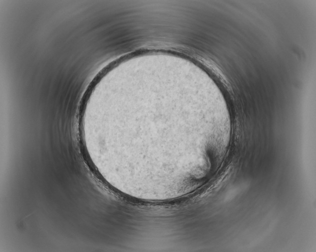 X0000114430976200911131328