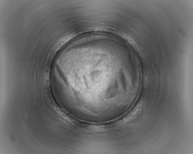 X0000114430977200911131328