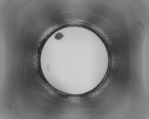 X0000114430978200911131328