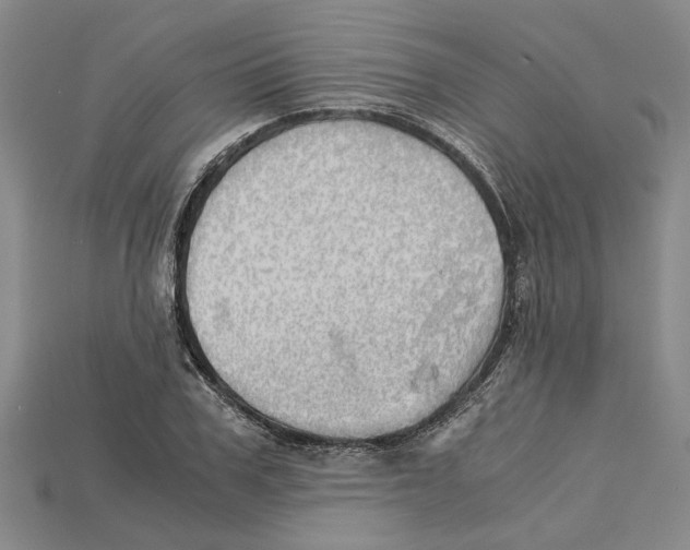 X0000114430979200911131328