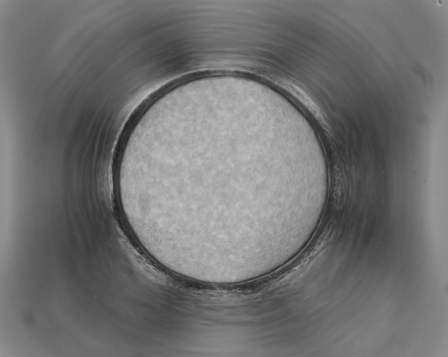 X0000114430980200911131328