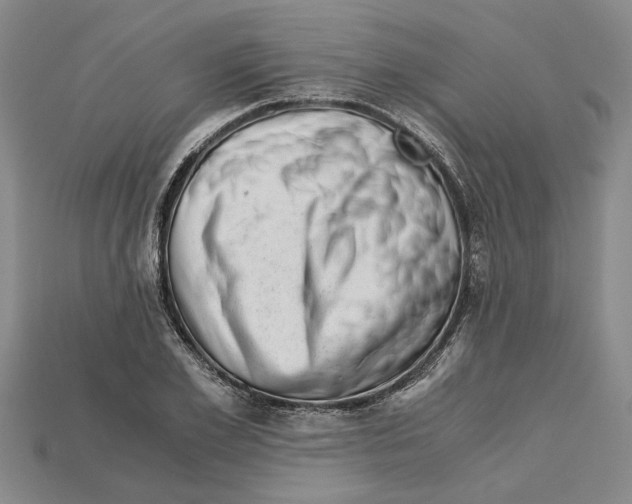 X0000114430981200911131328