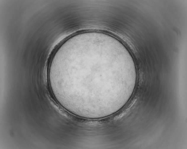 X0000114430982200911131328