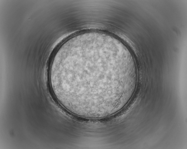 X0000114430983200911131328