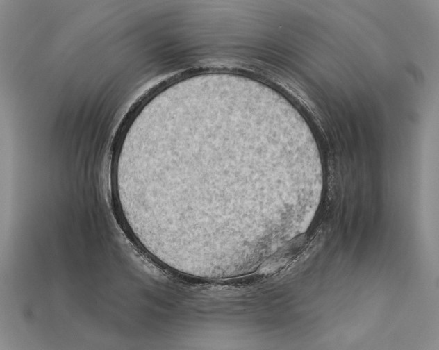 X0000114430984200911131328