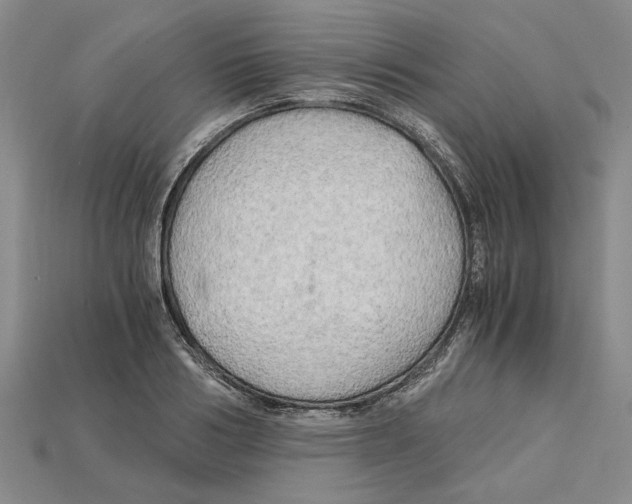 X0000114430986200911131328