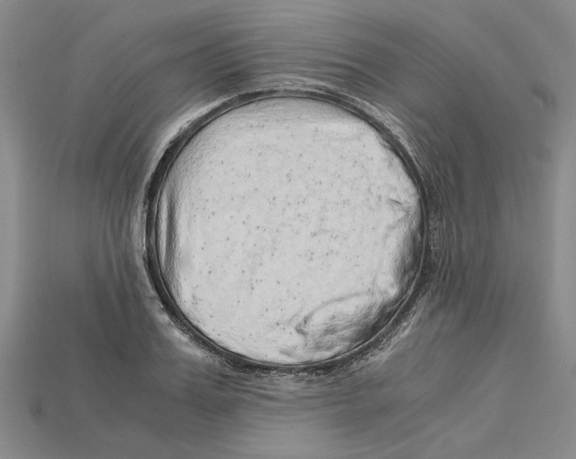 X0000114430987200911131328