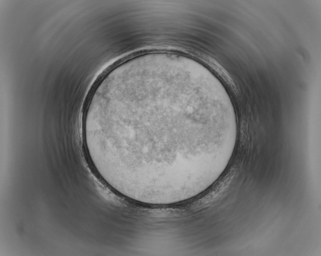 X0000114430988200911131328