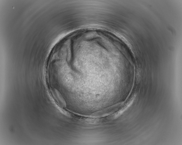 X0000114430989200911131328