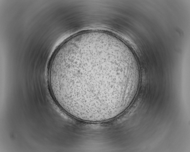 X0000114430990200911131328