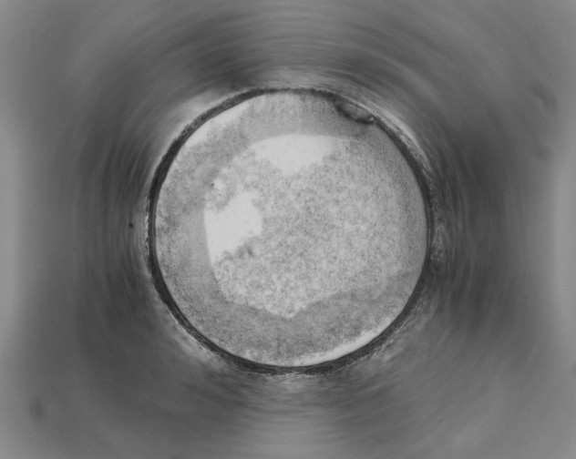 X0000114430992200911131328