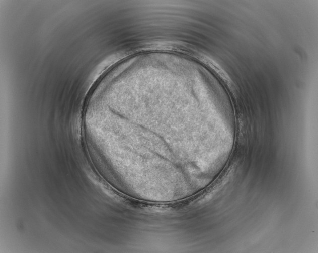 X0000114430994200911131328