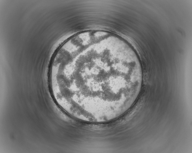 X0000114430995200911131328