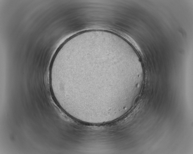 X0000114430996200911131328