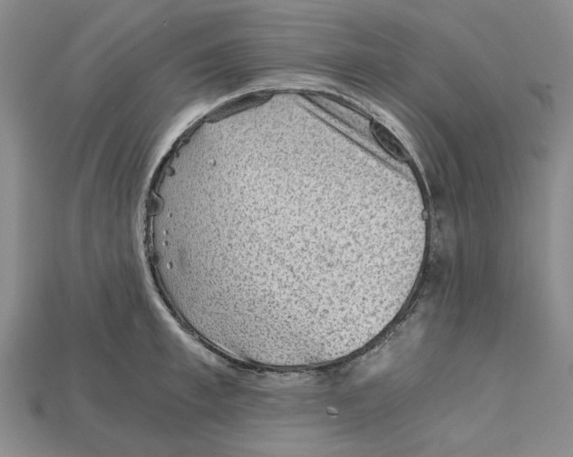 X0000114430997200911131328